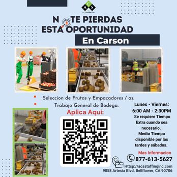 Mejores Agencias de Trabajo en Newport Beach en Español